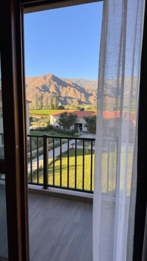 Vista Montañas y Viñas